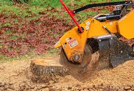 Best Tree Disease Treatment  in Newport, DE